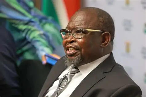 Finance Minister Enoch Godongwana